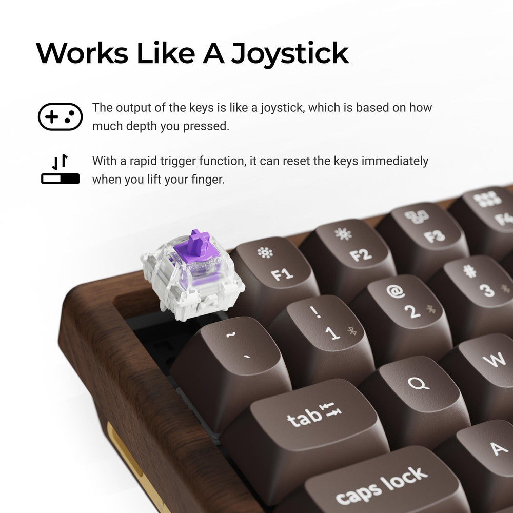 Keychron K2 HE Wireless Magnetic Switch Custom Keyboard (All-Wood Special Edition)  (US ANSI Layout)