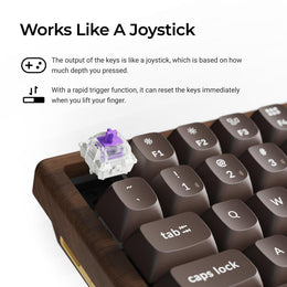 Keychron K2 HE Wireless Magnetic Switch Custom Keyboard (All-Wood Special Edition)  (US ANSI Layout)