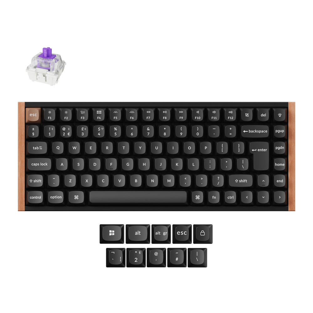 Keychron K2 Module Keychron K2 HE Wireless Magnetic Switch Custom Keyboard – Keychron Canada