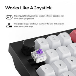 Keychron Q12 HE QMK Wireless Custom Keyboard (US ANSI Layout)