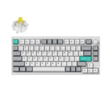 Lemokey P1 QMK/VIA Custom Gaming Keyboard (US ANSI Layout)