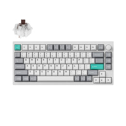 Lemokey P1 QMK/VIA Custom Gaming Keyboard (US ANSI Layout)