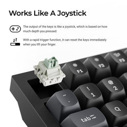 Keychron Q3 HE 8K Wired Magnetic Switch Keyboard (US ANSI Layout)