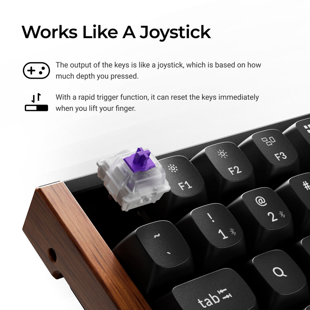 Combo: Keychron K2 HE Wireless Custom Keyboard + Silicone Palm Rest