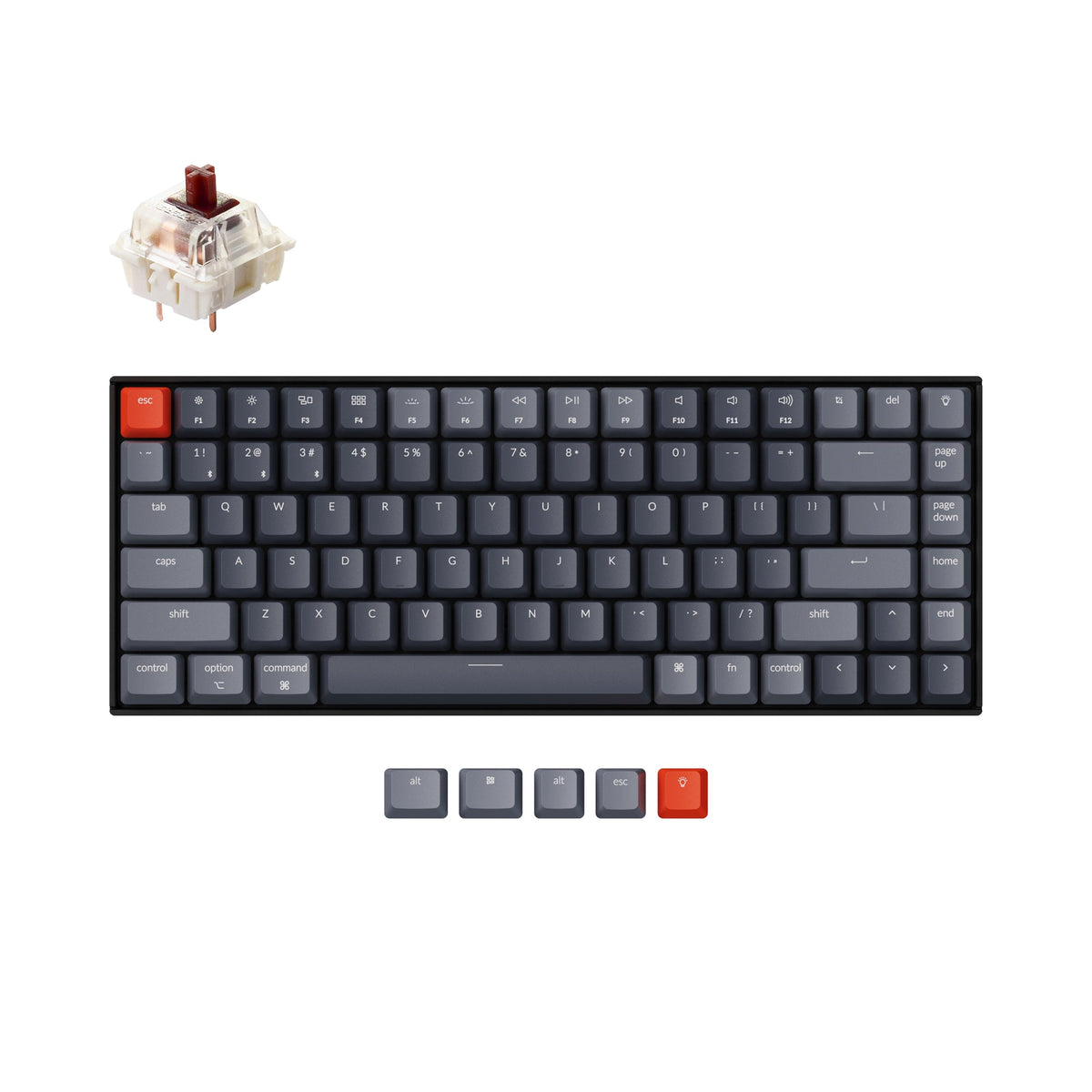 Normal Profile Keyboards – Keychron Canada