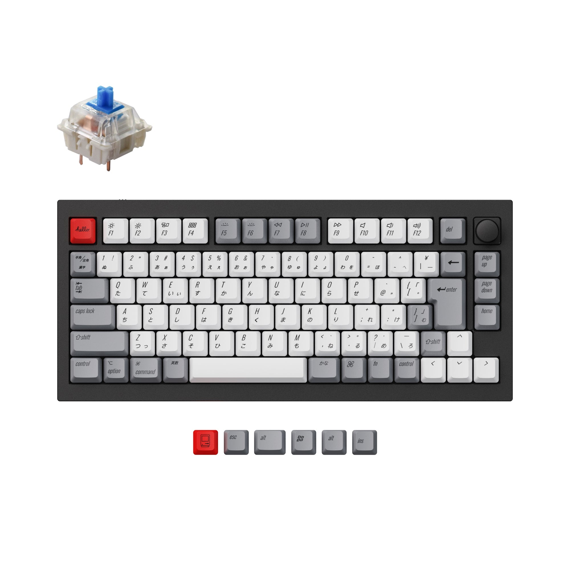 Keychron Q1 QMK Custom Mechanical Keyboard (Japan JIS Layout)