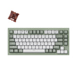 Keychron Q1 QMK/VIA Custom Mechanical Keyboard - green with Gateron Phantom brown switch
