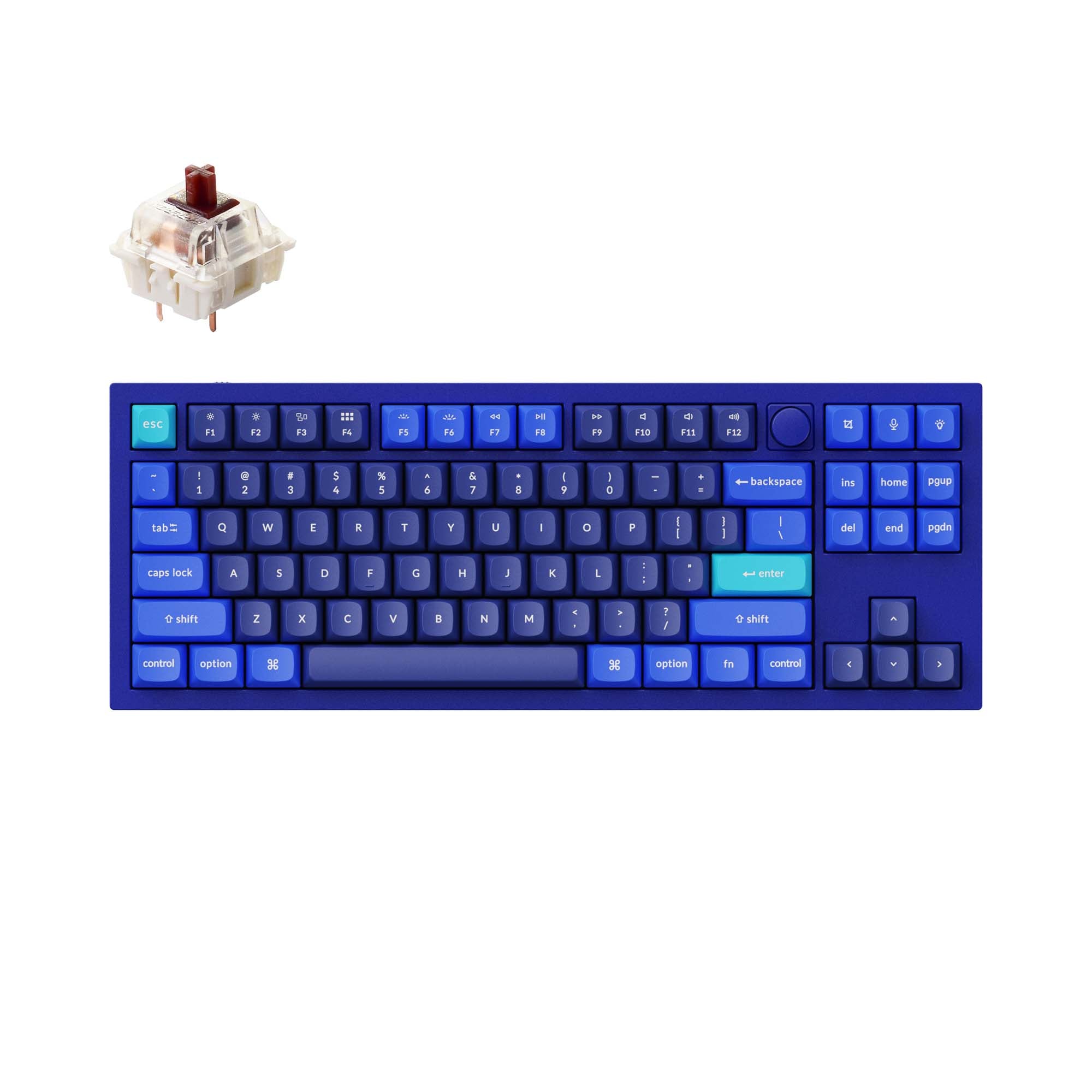 Keychron-Q3-tkl-qmk-custom-mechanical-keyboard-knob-version-blue-brown-B