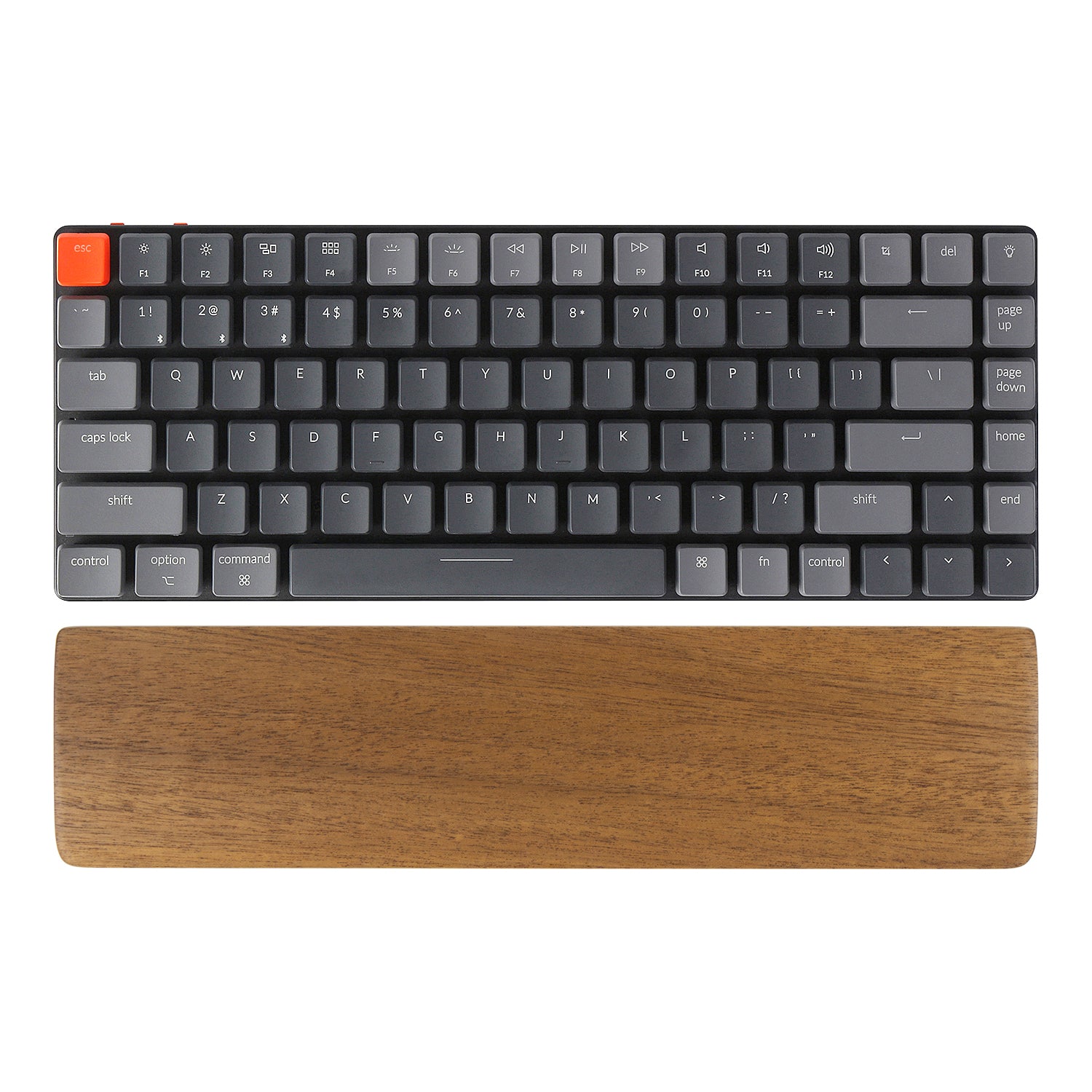 Keychron C2 Color Keychron C2 Wired Mechanical Keyboard (US ANSI Layout) – Keychron Canada