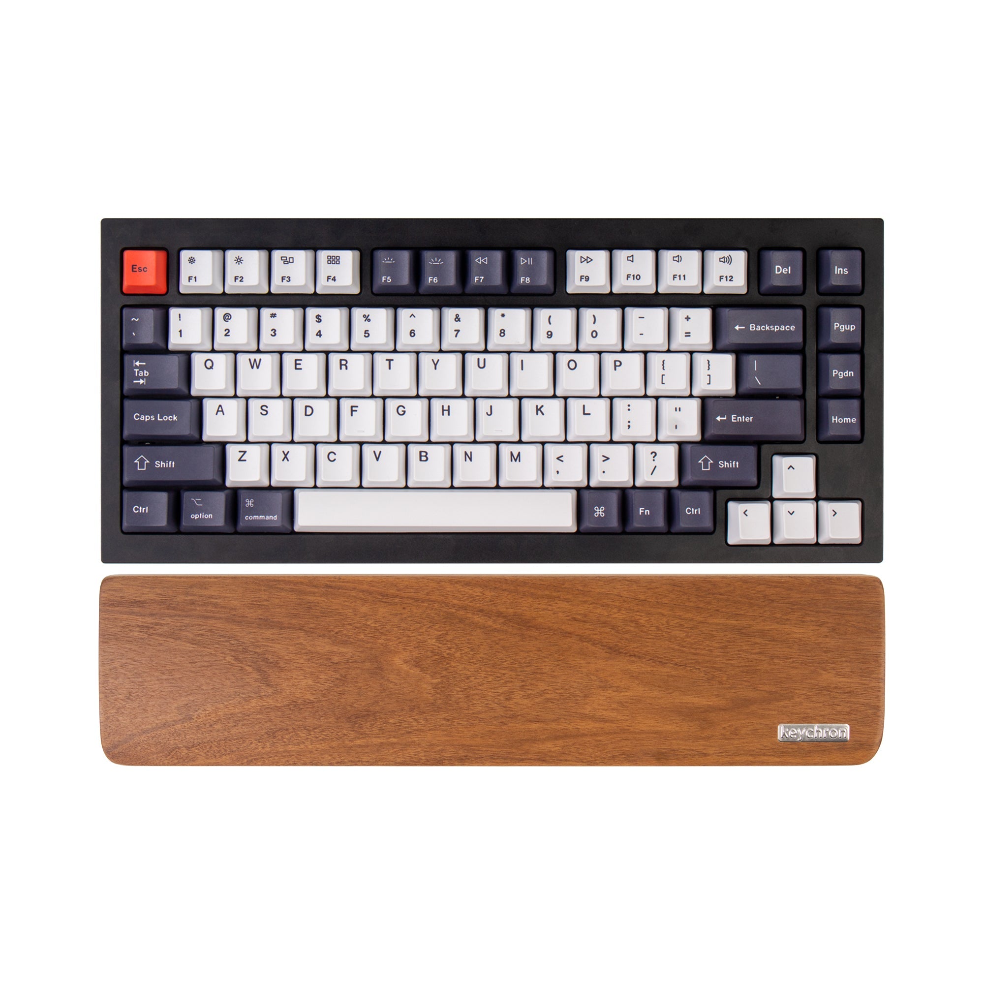 Keychron C2 Wired Mechanical Keyboard (US ANSI Layout) – Keychron Canada