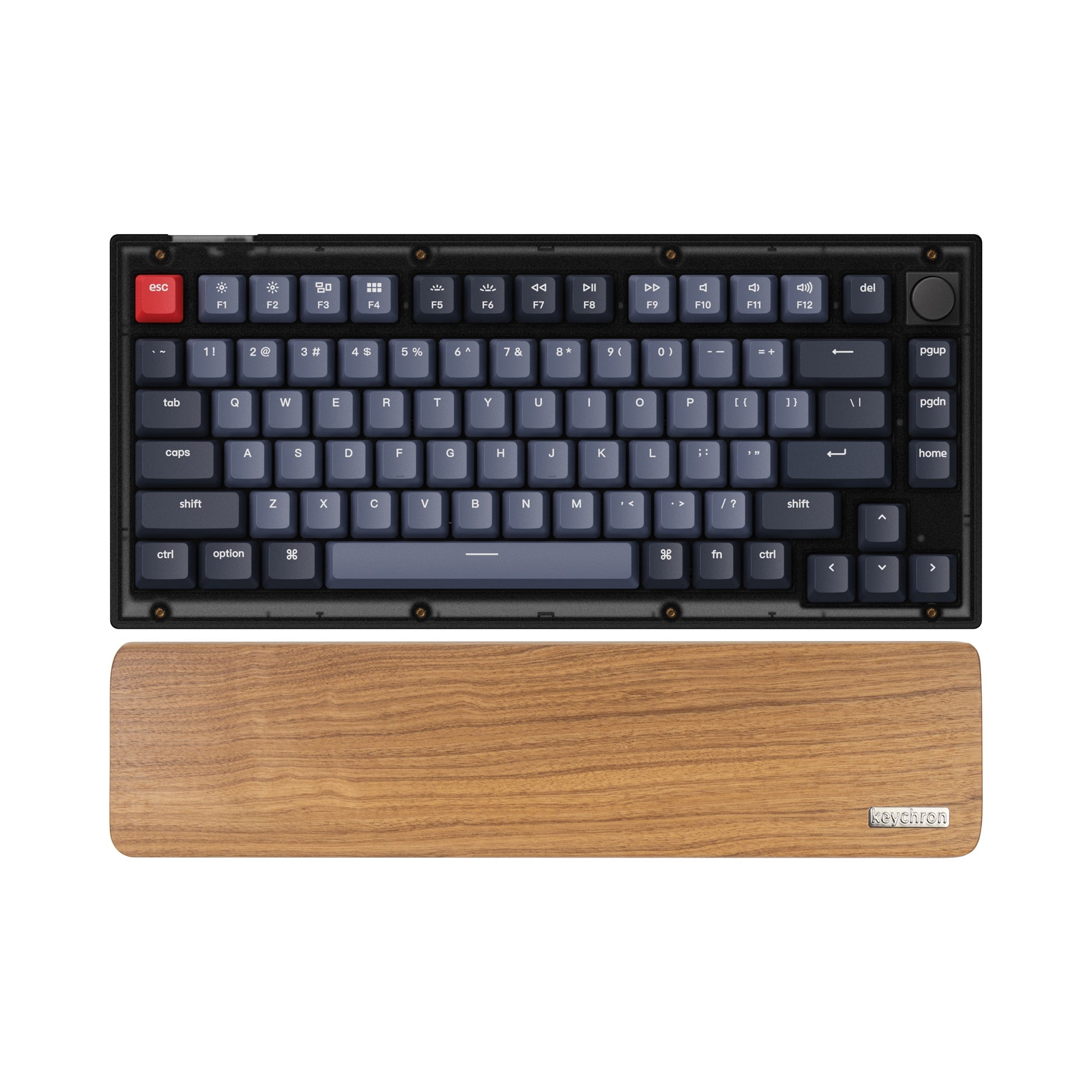 Keychron C2 Wired Mechanical Keyboard (US ANSI Layout) – Keychron Canada